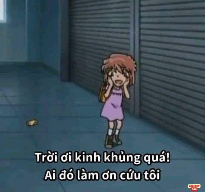 meme vui hài hước