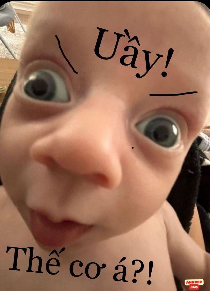 meme vui hài
