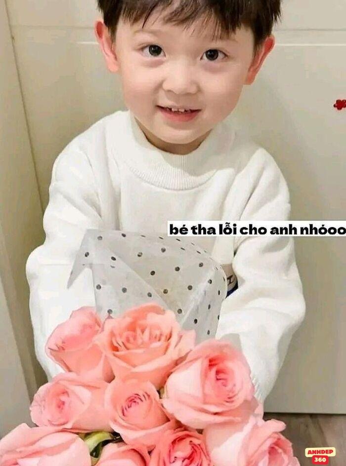 meme xin lỗi bé trai