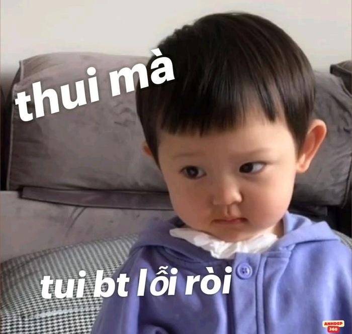 meme xin lỗi siêu cute