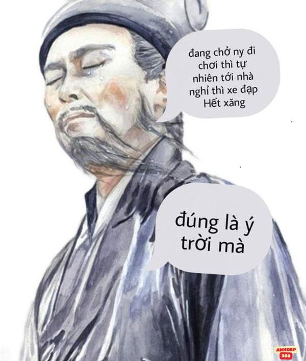 meme ý trời chất lượng