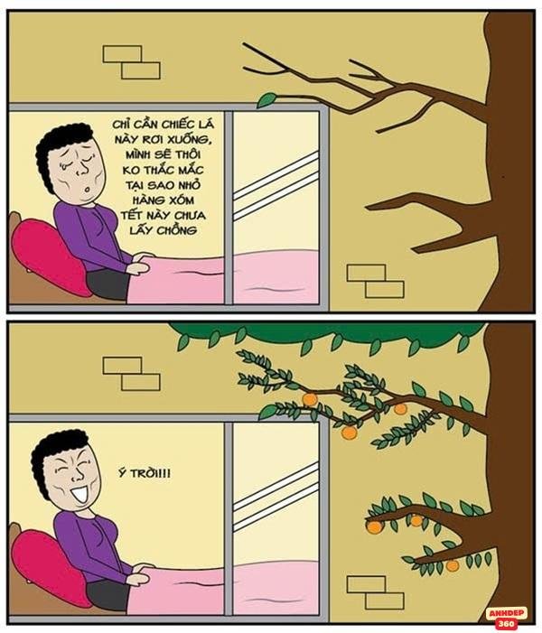 meme ý trời độ phân giải