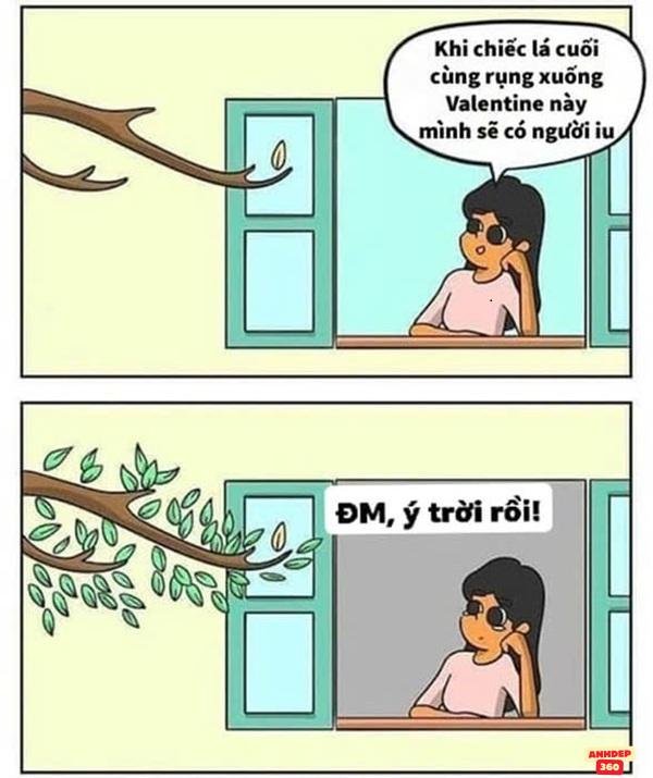 meme ý trời hài hước hd