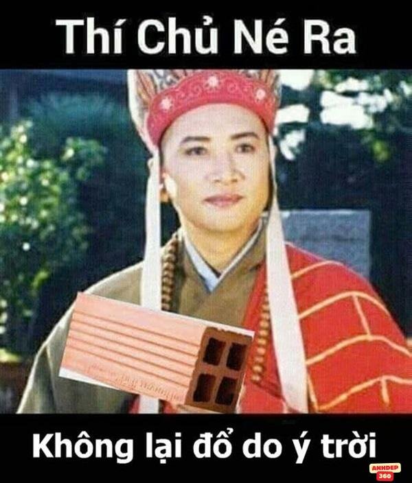 meme ý trời sống động đẹp