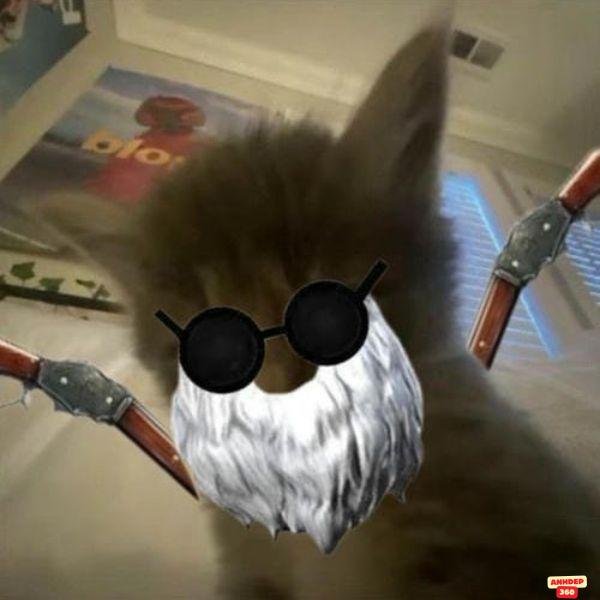 mèo cầm súng free fire