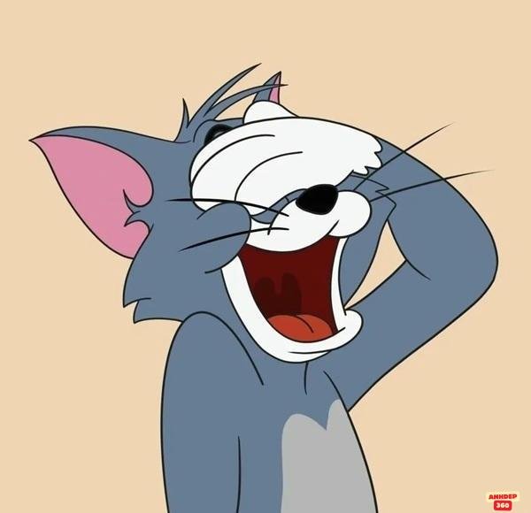 mèo tôm trong phim