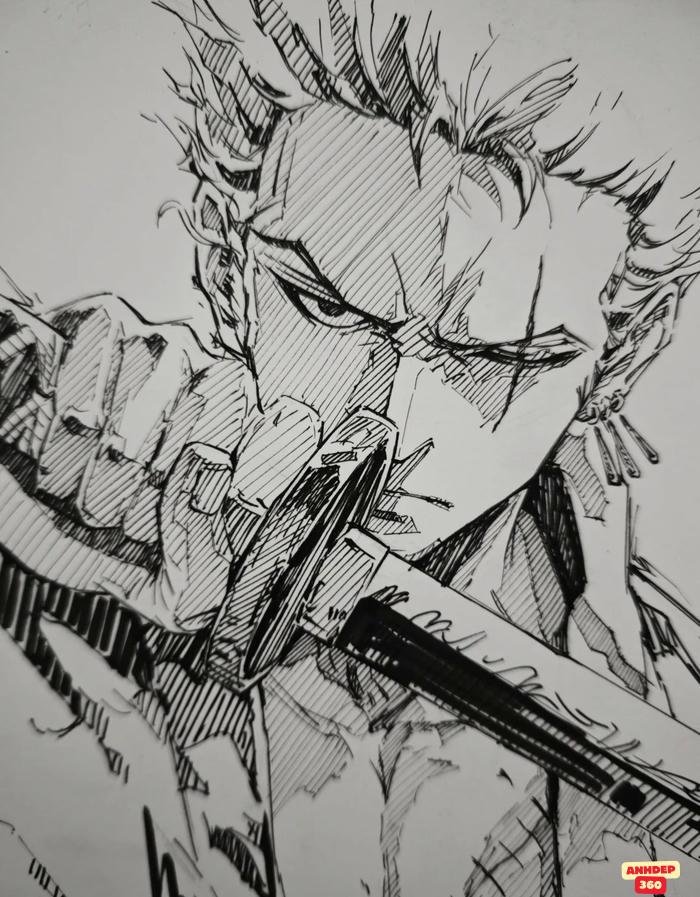 roronoa zoro vẽ đẹp