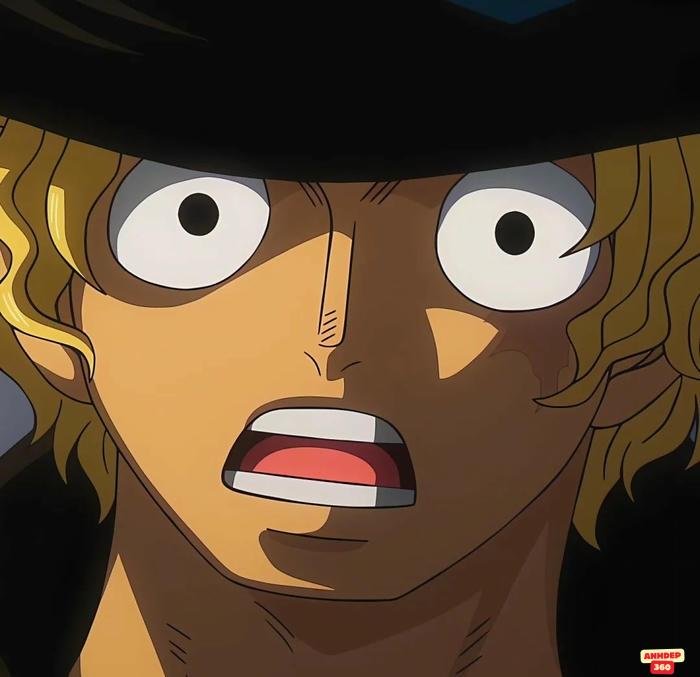 sabo nghệ thuật đẹp