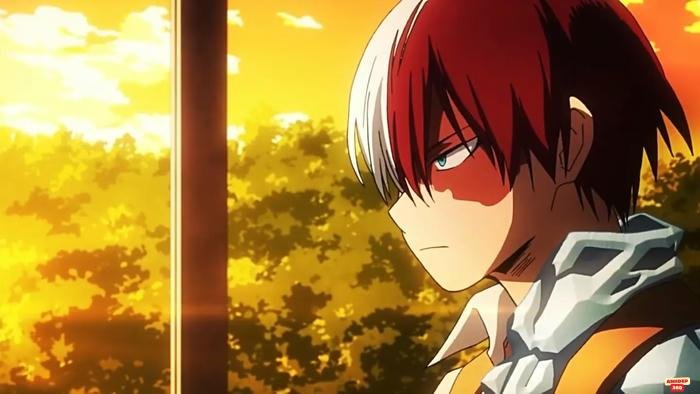 shoto todoroki anime