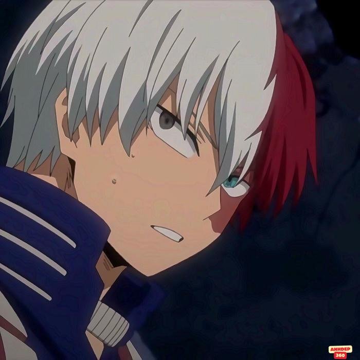 shoto todoroki ảo