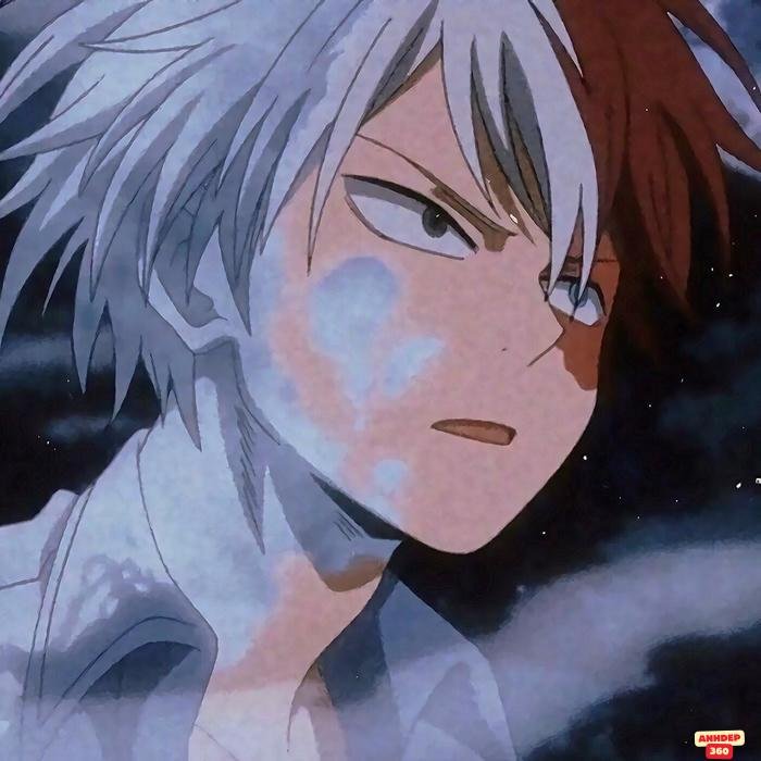 shoto todoroki độc