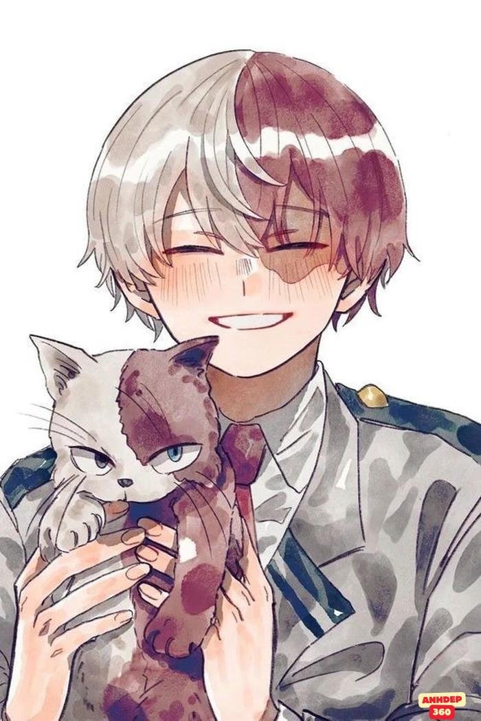 shoto todoroki ngầu