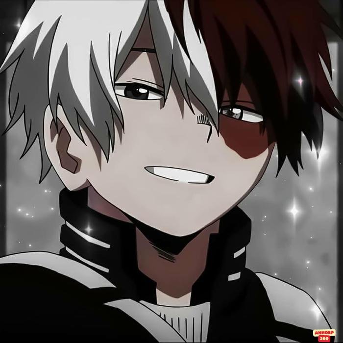 shoto todoroki uy
