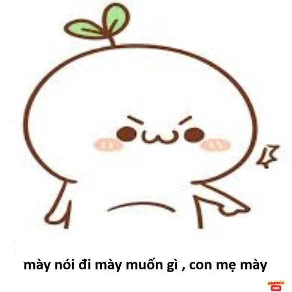 tao thích mày troll tức