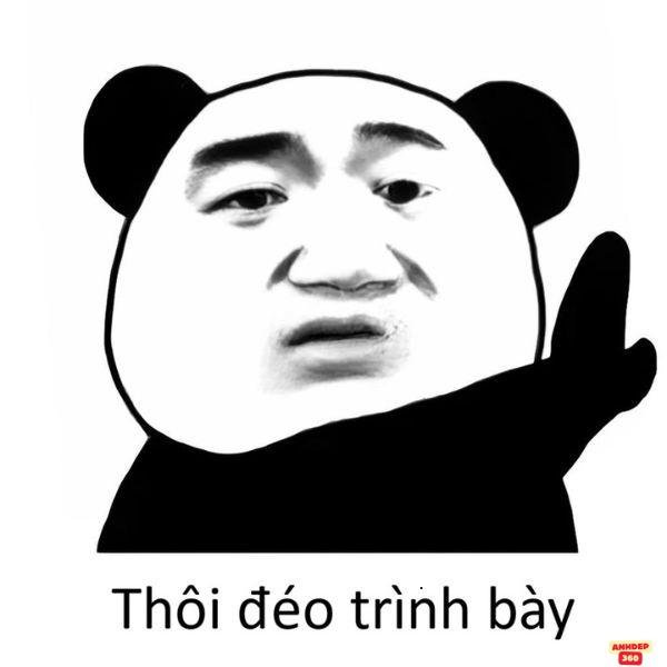 thôi đéo trình bày