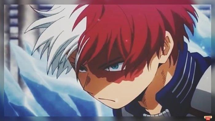 todoroki chất lượng