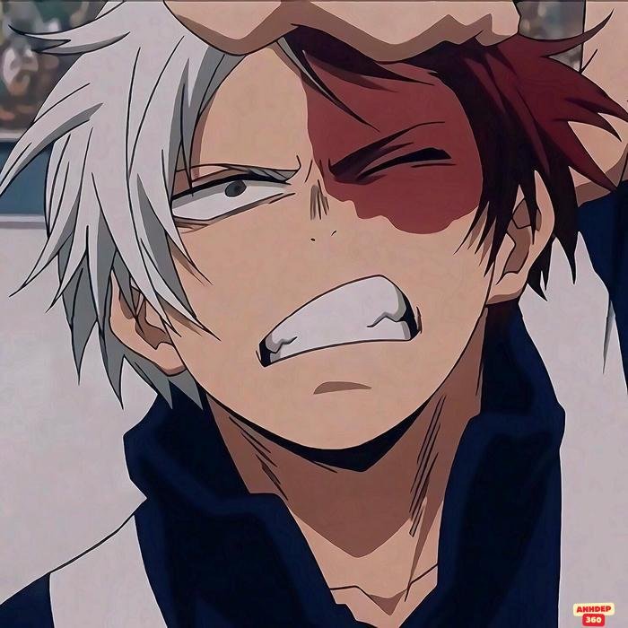 todoroki năng lực