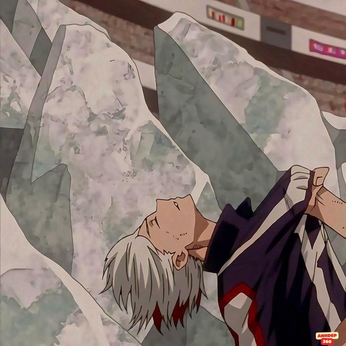 todoroki nghệ thuật