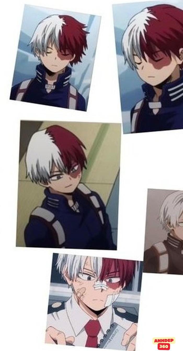 todoroki sống động