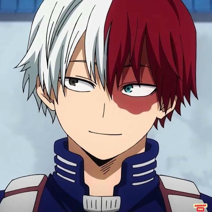 todoroki vương giả