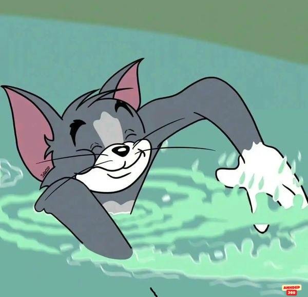 tom meme bơi