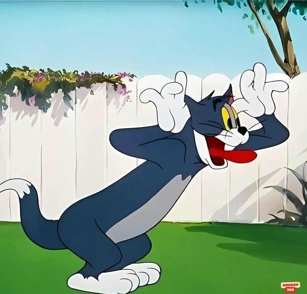 tom meme lè lưỡi