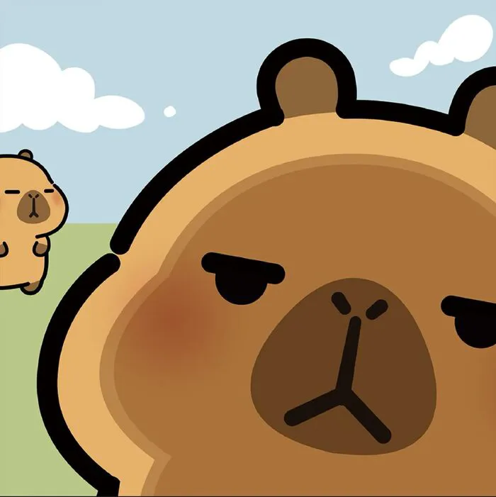 hình capybara chibi bựa hình capybara chibi bựa