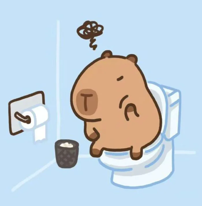 hình capybara chibi hình capybara chibi