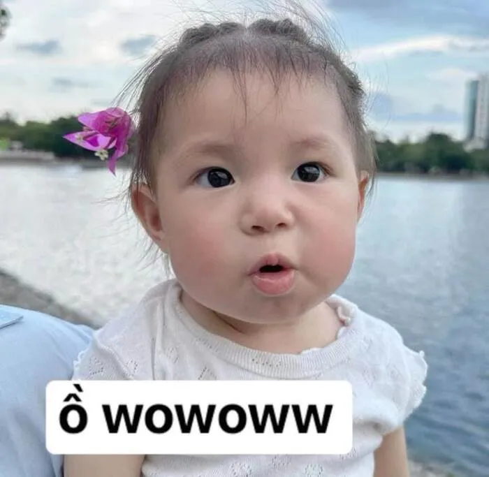 Meme bất ngờ nhìn ngơ ngác Meme bất ngờ nhìn ngơ ngác