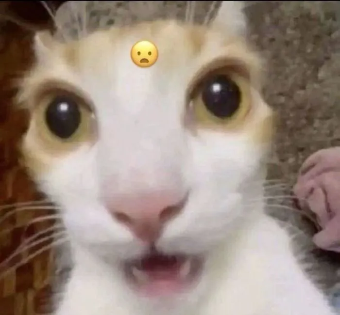 Meme bất ngờ sắc nét Meme bất ngờ sắc nét