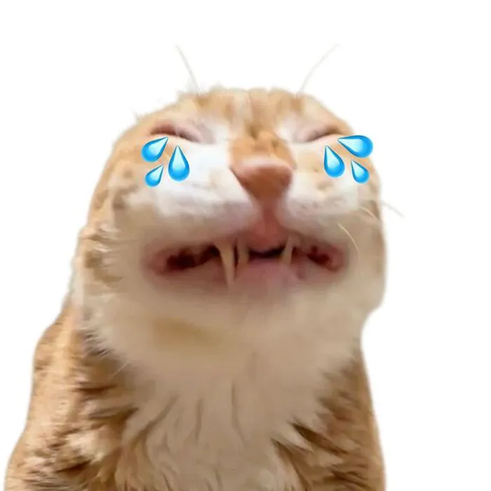 meme bựa cười sảng