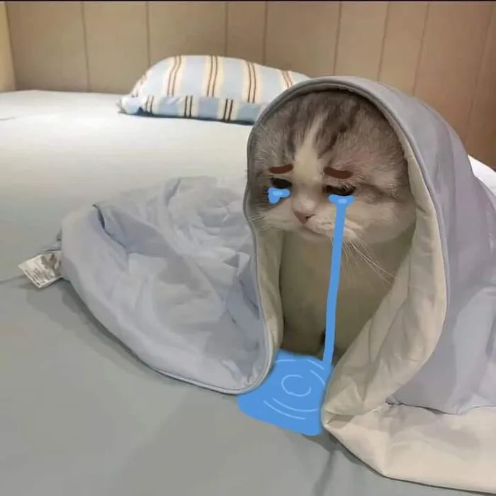 meme buồn biểu cảm khuôn mặt