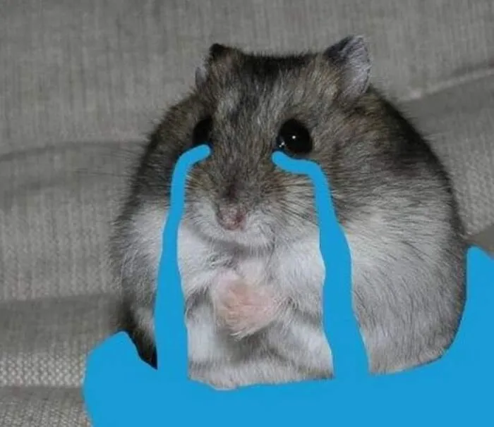 meme buồn khi thất bại