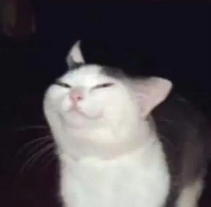 meme chế cười mệt