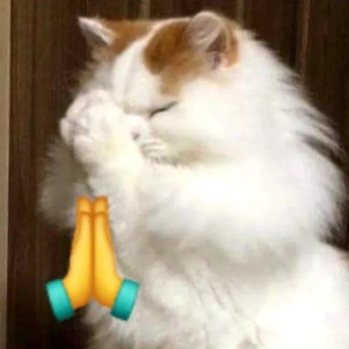 meme chế phản ứng bất lực