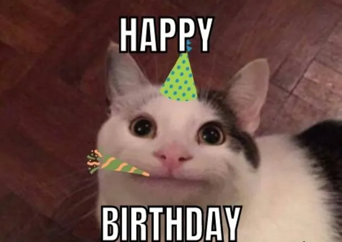 meme chúc mừng sinh nhật nhìn ngơ ngác