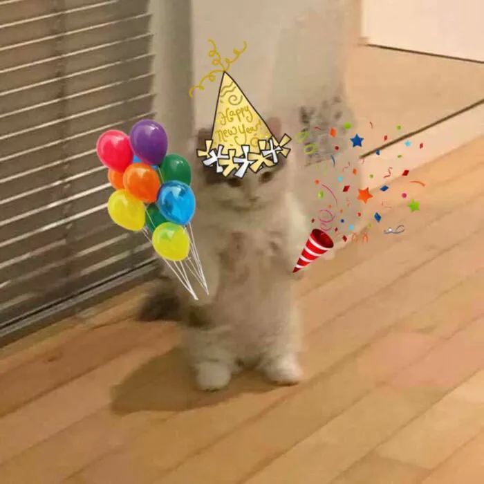 meme chúc mừng sinh nhật phản ứng bất ngờ