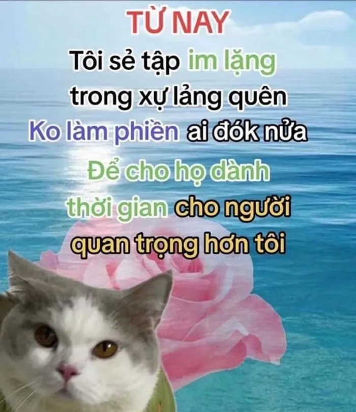 meme chửi bá đạo