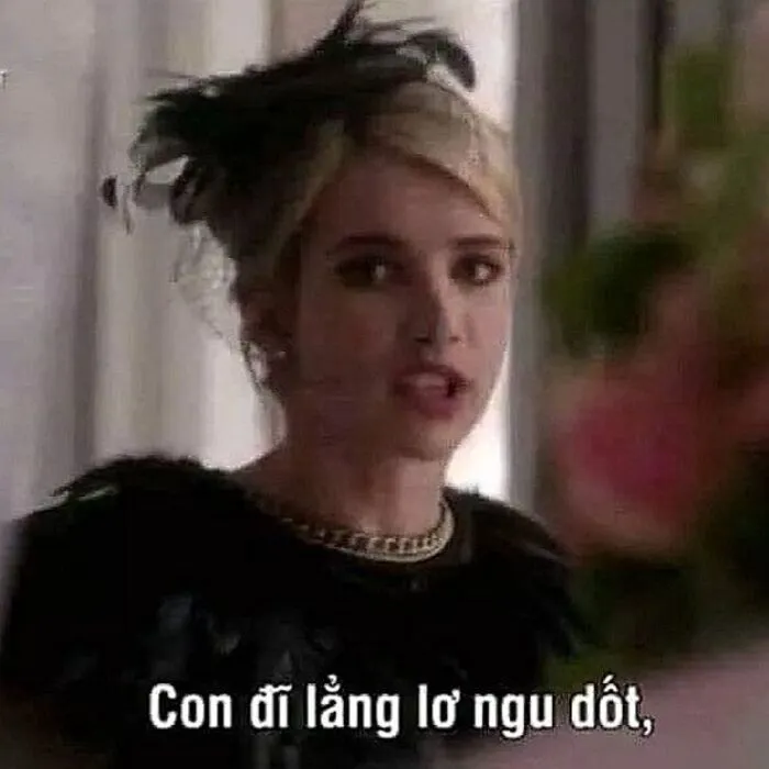 meme chửi biểu cảm đơ
