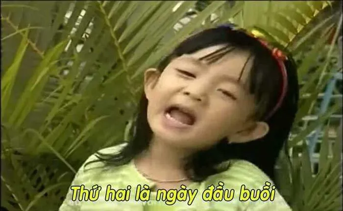 meme chửi nhìn bực bội