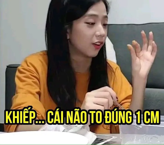 meme chửi nhìn khó hiểu