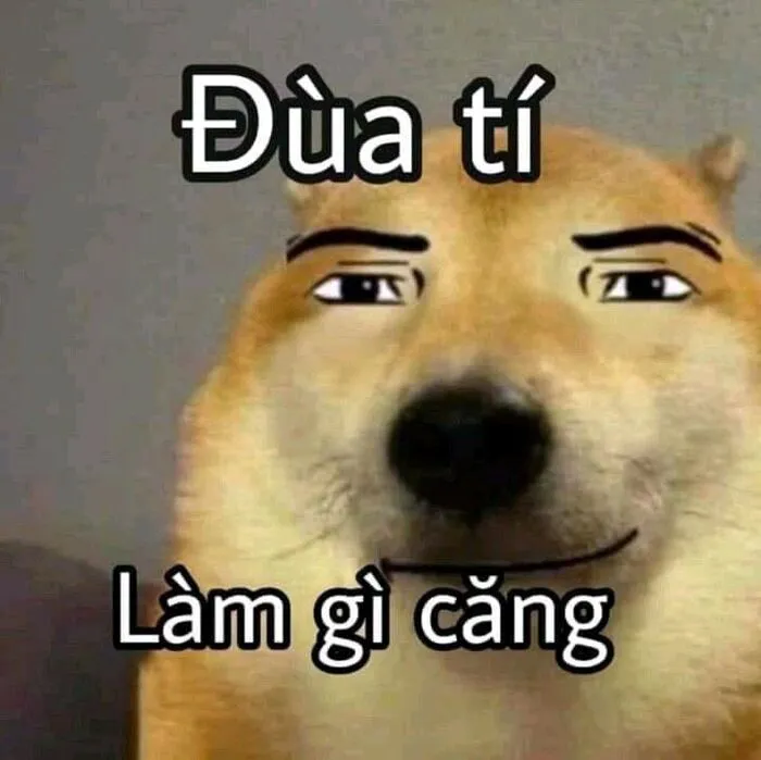 meme chửi