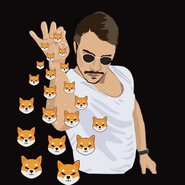 meme coin chart đi xuống