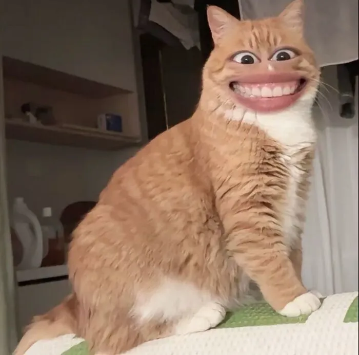 meme cười troll