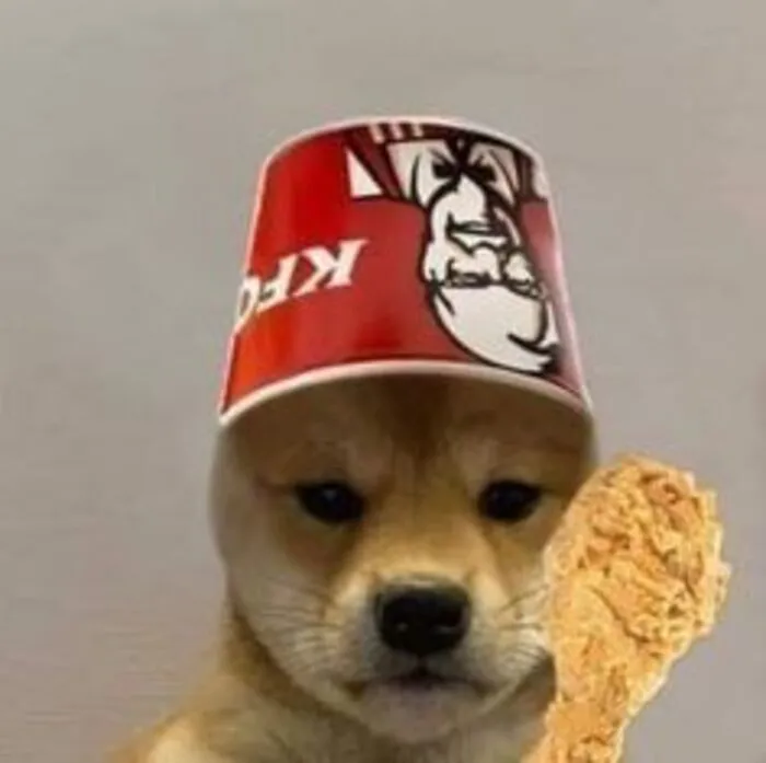 meme dog nhìn chằm chằm