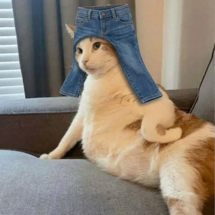 meme đội quần khó đỡ meme đội quần khó đỡ