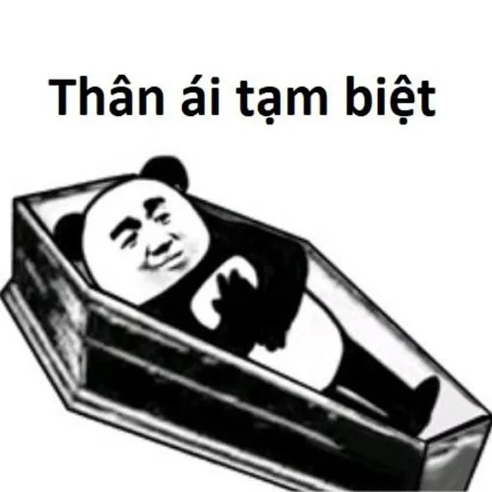 meme gấu trúc biểu cảm hài meme gấu trúc biểu cảm hài