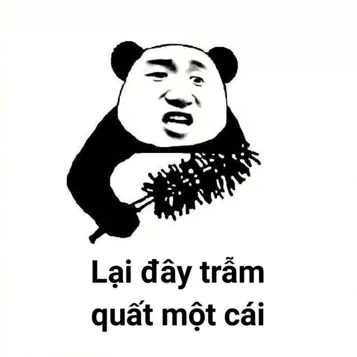 meme gấu trúc biểu cảm lạ meme gấu trúc biểu cảm lạ