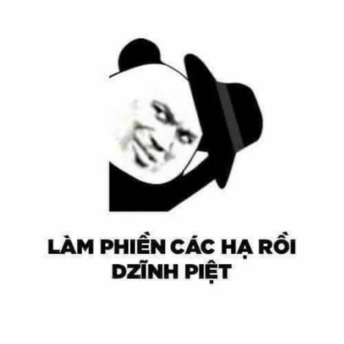 meme gấu trúc cười bá đạo meme gấu trúc cười bá đạo