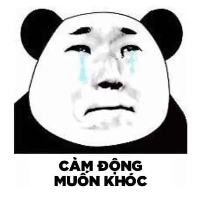 meme gấu trúc cười xỉu meme gấu trúc cười xỉu